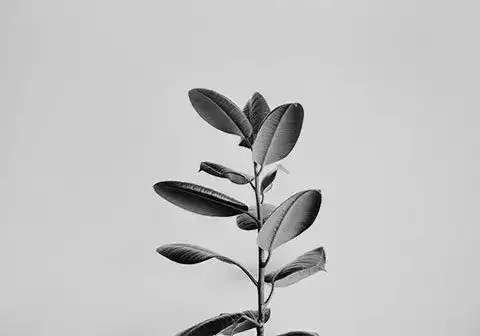 Sanierung München- MR Umbau GmbH