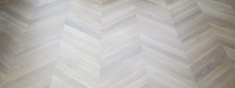 3 Gekälkte Eiche IMG_0008 3 Gekälkte Eiche IMG_0008